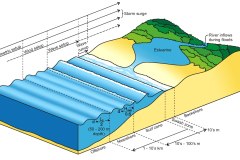 2010 Coastal innundation beach processes cross-section - Anna Blacka