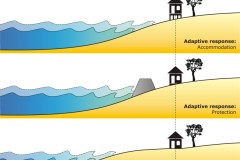 2013 Alternative coastal adaption strategies beach profiles - Anna Blacka