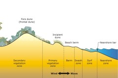 2013 Beach profile zones - Anna Blacka
