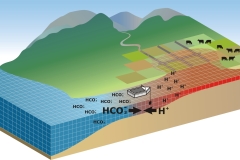 2014 Acidic water in low lying floodplain areas - Anna Blacka