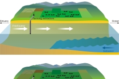 2016 Salinity wedge and drainage - Anna Blacka