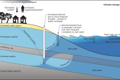 2017 CoastAdapt - Saltwater intrusion under climate change - Anna Blacka