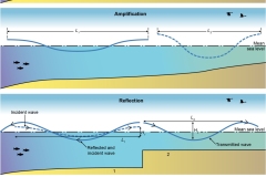 2018 Estuary tide effects - Anna Blacka