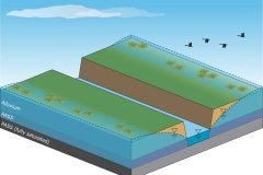 2018 Wetland remediation - reducing drainage density - Anna Blacka