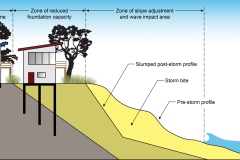 2020 - Beach dune profile - zone of reduced foundation - Anna Blacka