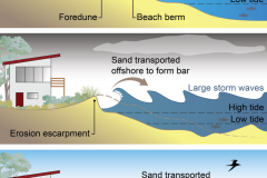 2020 CoastSnap - Dynamic beach profile and beach erosion - Anna Blacka