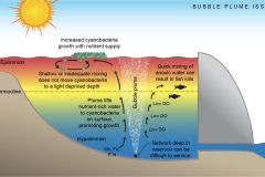 2021 Cold water pollution in dams - Bubble plume issues - Anna Blacka