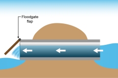 2021 Floodgate open - Anna Blacka