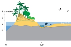 2022 Island Lagoon profile section - Anna Blacka