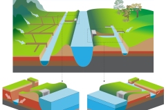 2023 Acid sulfate soil drainage and - estuary - cross-section - Anna Blacka