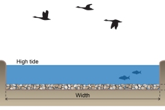2024 Panboola wetland channel design - Anna Blacka