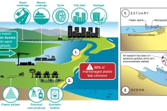 2024 Sources of plastics and microplastics in estuaries - Anna Blacka