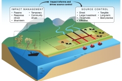 2025 Clybucca wetland - two-pronged approach to impact - Anna Blacka