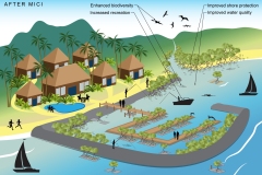 2025 Project Halo - Floating mangrove pontoon - After MICI - Anna Blacka