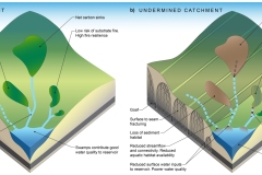 2025 Upland swamps and mining - pre and post mining - Anna Blacka