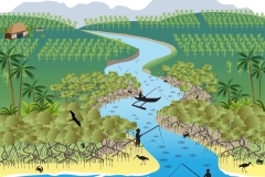 2026 Project Halo - coastal restoration, post-restoration - Anna Blacka