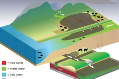 2019 Black water and floodplain drainage in farmland - Anna Blacka