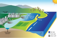 2021 Intermittently closed and open lakes and lagoons, ICOLL opening and urban runoff - Anna Blacka