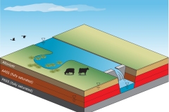 2018 Wet pasture management on floodplains and drainage - Anna Blacka